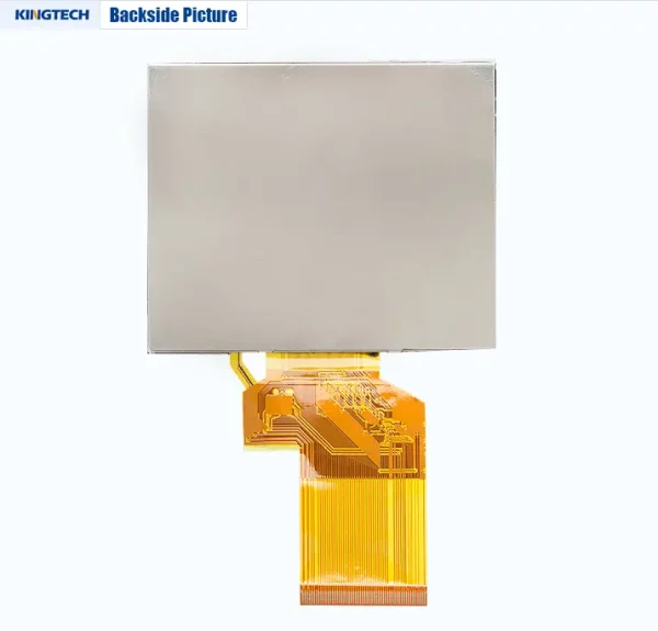 PV03509LZR54J back