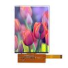 6.0 inch 1080*2160 dots TFT LCD module